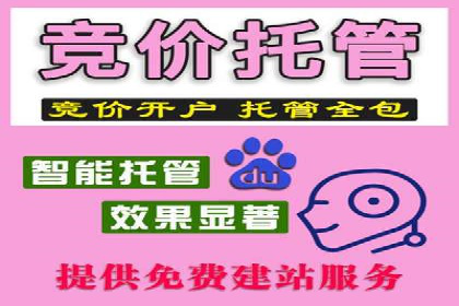 百度竞价推广公司案例：从竞争激烈的市场脱颖而出